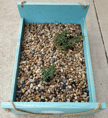 Piedras de río Voulosimi para arreglos florales y macetas.