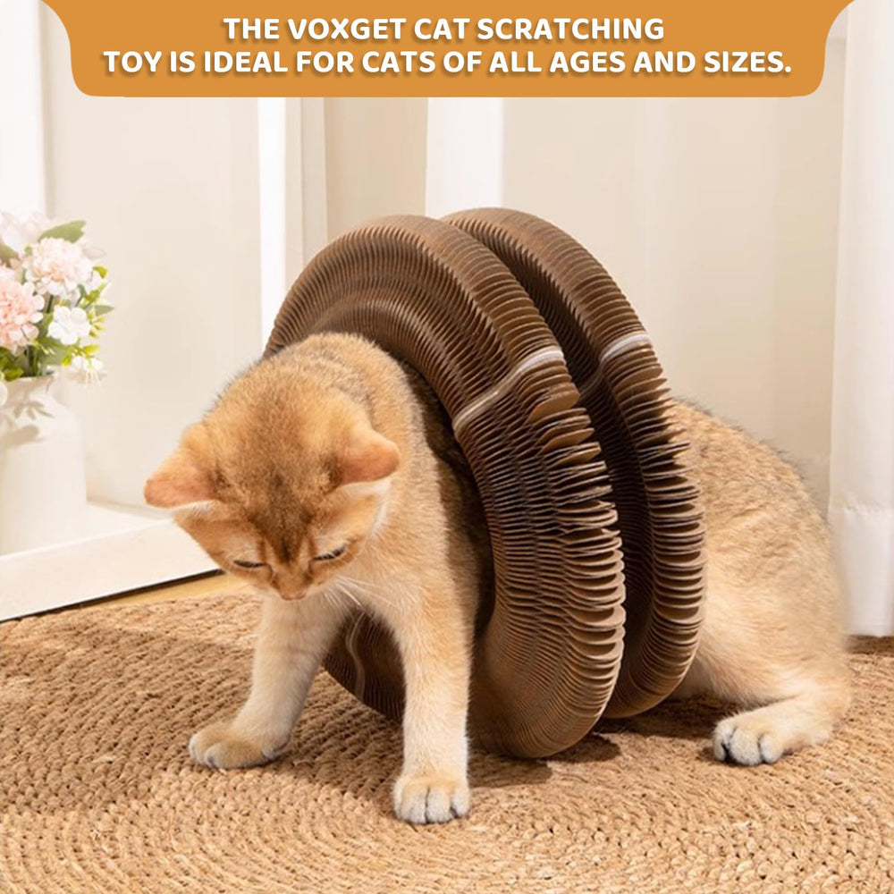 VOXGET Cartón Ecológico, seguro para gatitos y hogares multi-gato