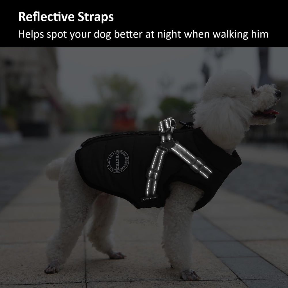 Ajuste ergonómico VPETBR que garantiza comodidad en distintas siluetas caninas