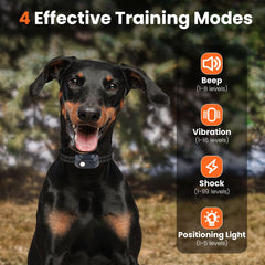 Mando de doble canal VUMXPE para entrenar dos perros al mismo tiempo.