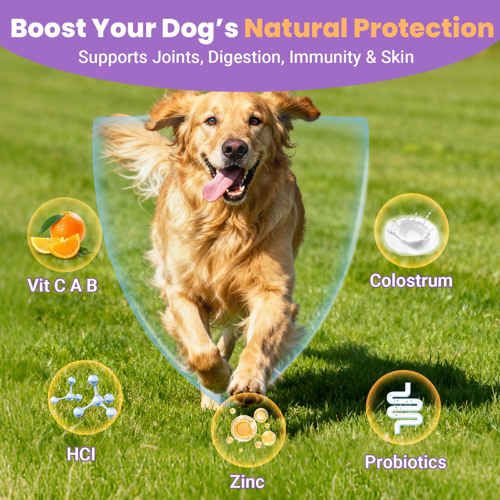 VUN Dog Multivitamin cuidado de piel y pelaje para inmunidad.