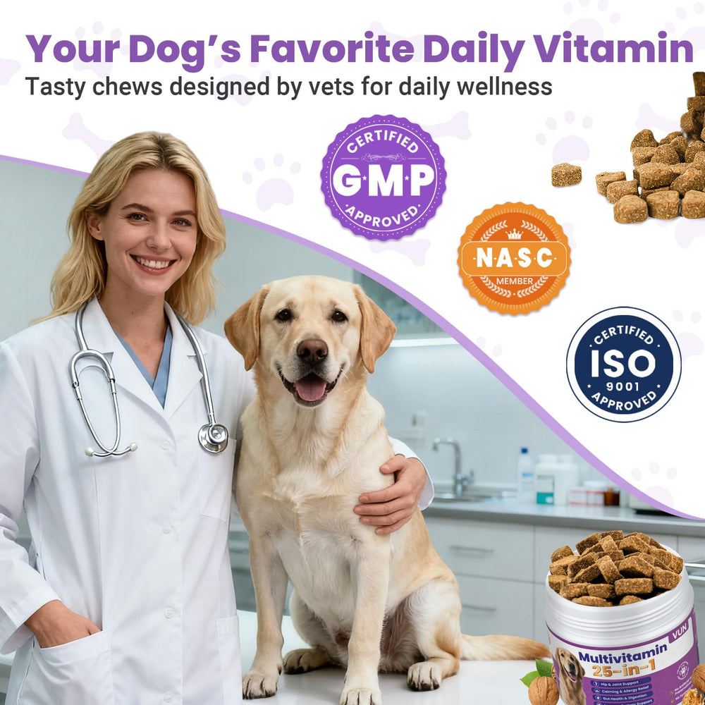 VUN Dog Multivitamin mejora la digestión y la salud intestinal.
