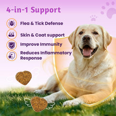 VUN mejora la salud digestiva del perro con ingredientes naturales.