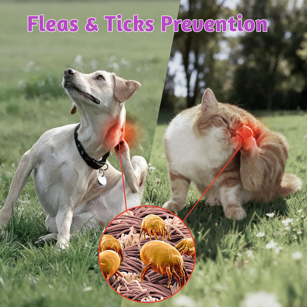 Gomitas VUN para perros, sabor pollo, fácil de administrar.
