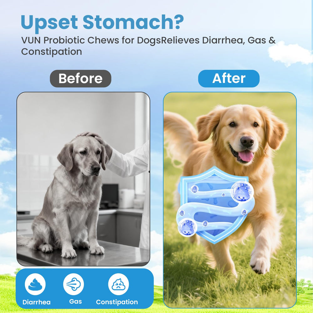 VUN Probiotics para perros, apoya la flora intestinal del perro.