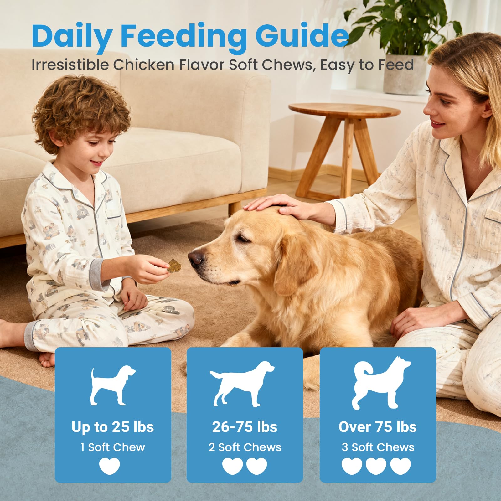 VUN Probiotics para perros, fácil de usar como snack diario.