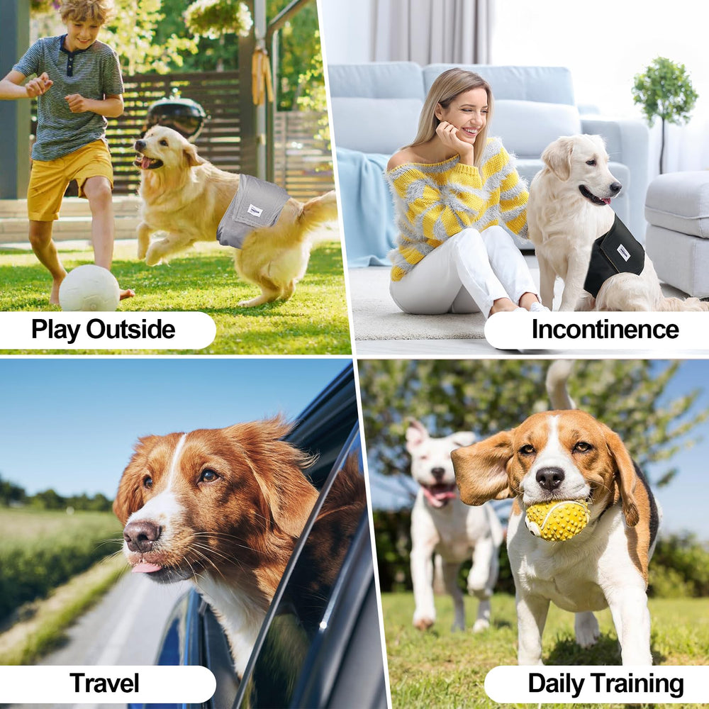 Solución diaria para entrenamiento y viajes de tu perro macho con VUNCESSIN