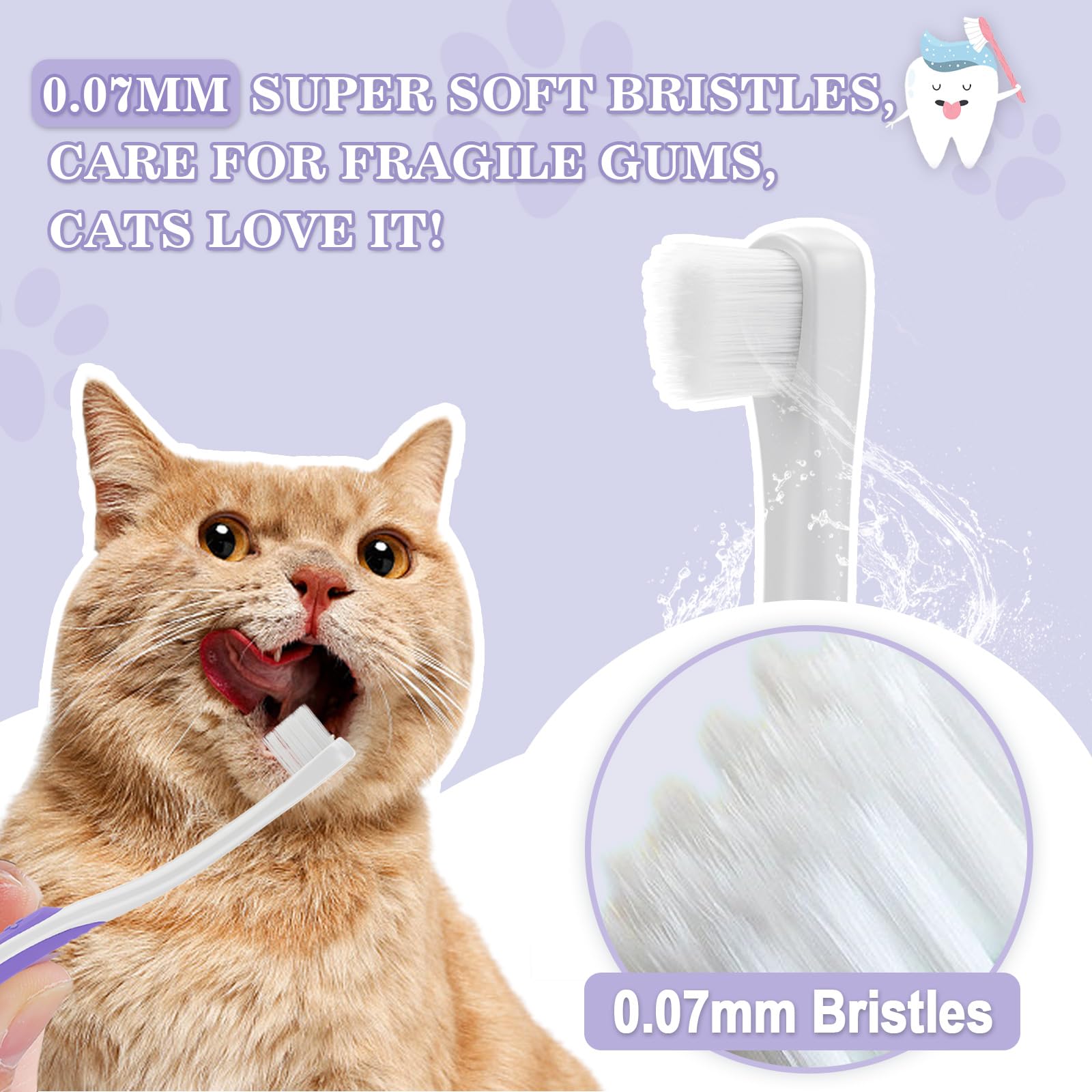 VVHOMIFE muestra cuidado bucal gatuno completo para mantener dientes sanos y encías saludables.