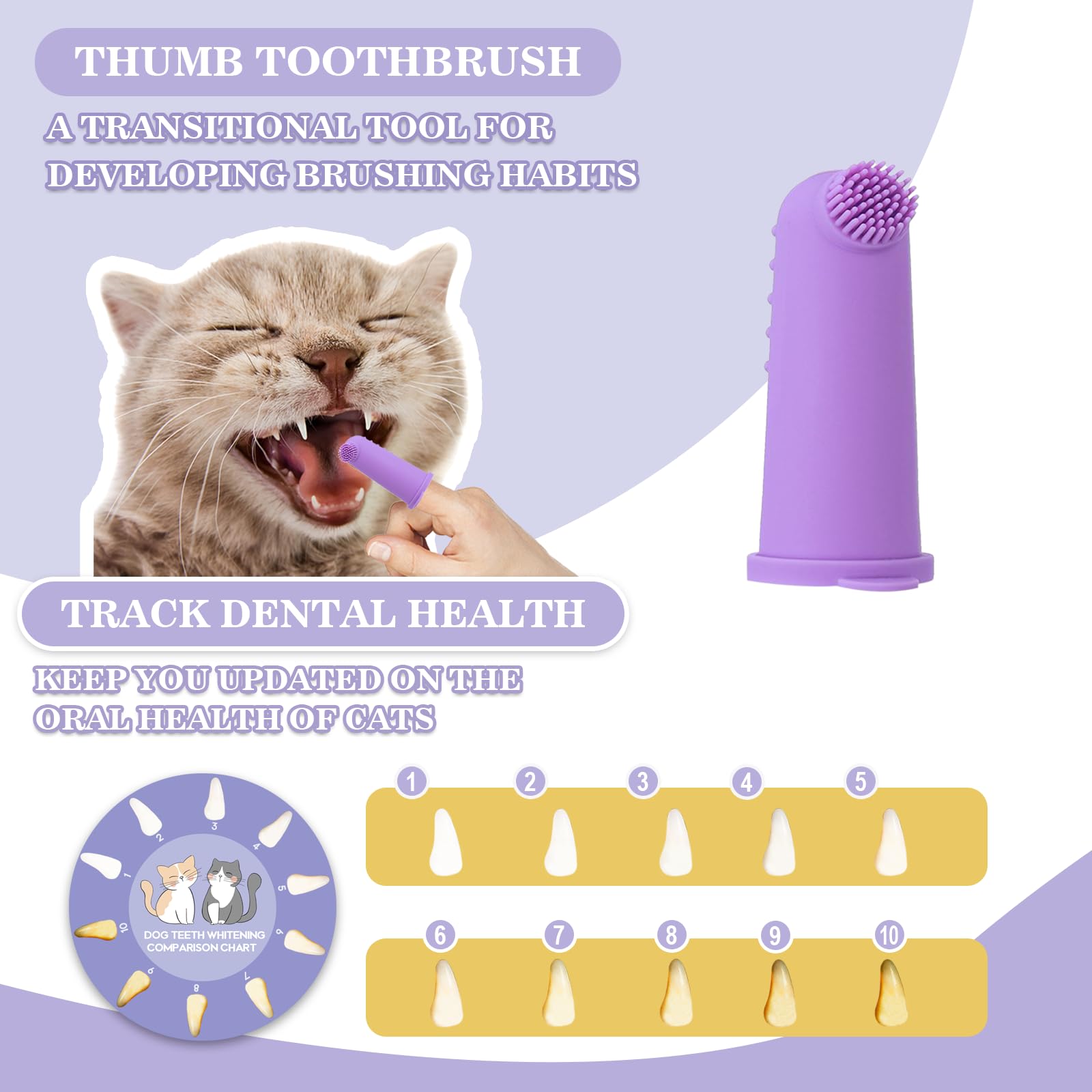 VVHOMIFE tabla de comparación dental facilita seguir el progreso.