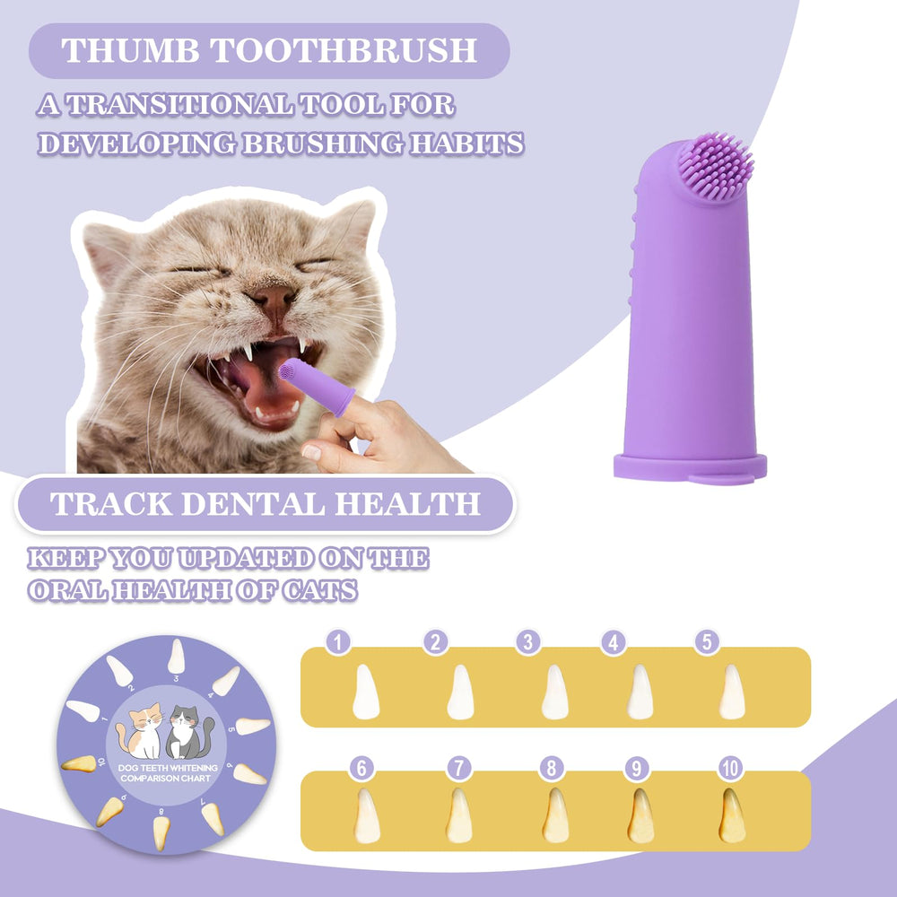 VVHOMIFE tabla de comparación dental facilita seguir el progreso.