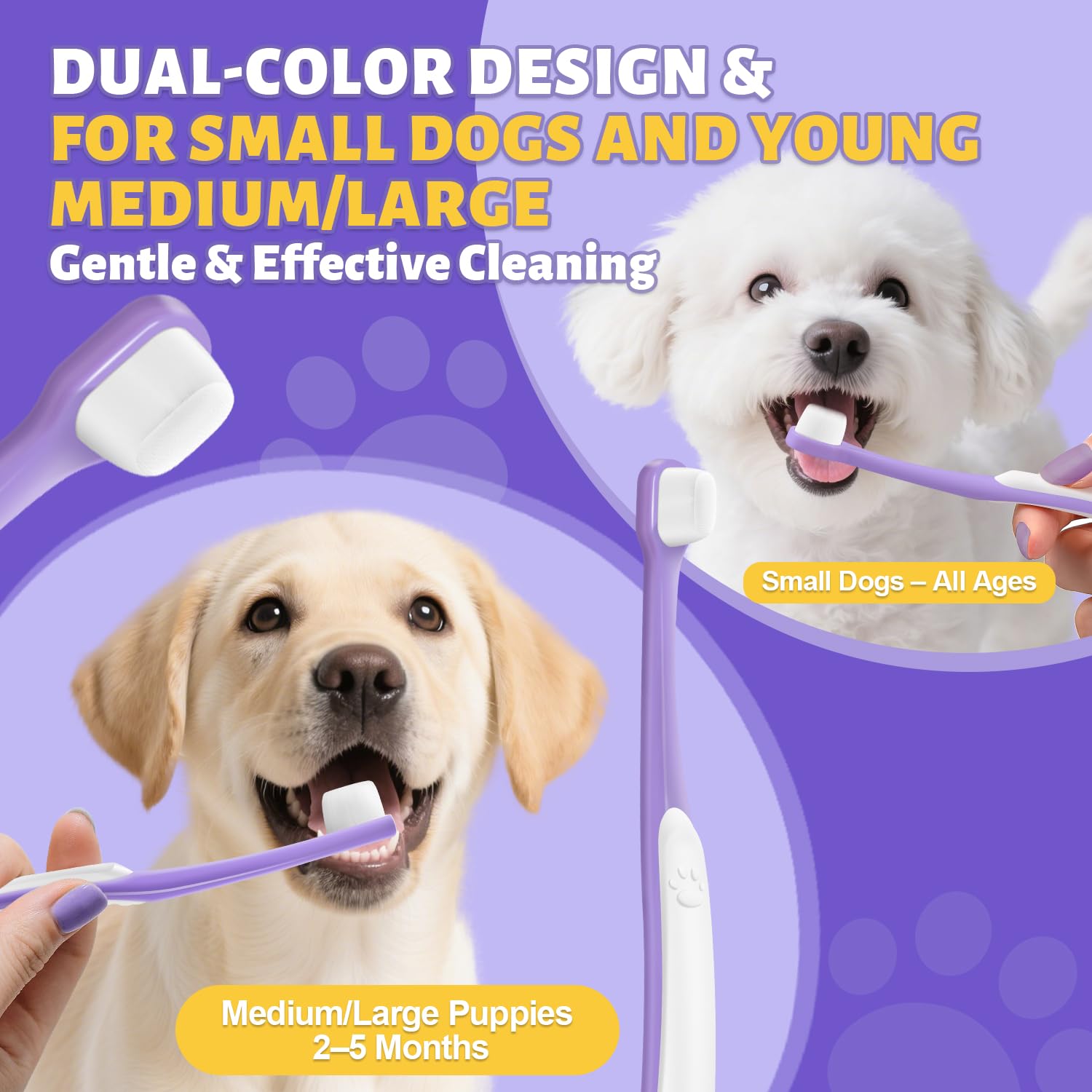 VVHOMIFE cuidado dental diario para perros pequeños.