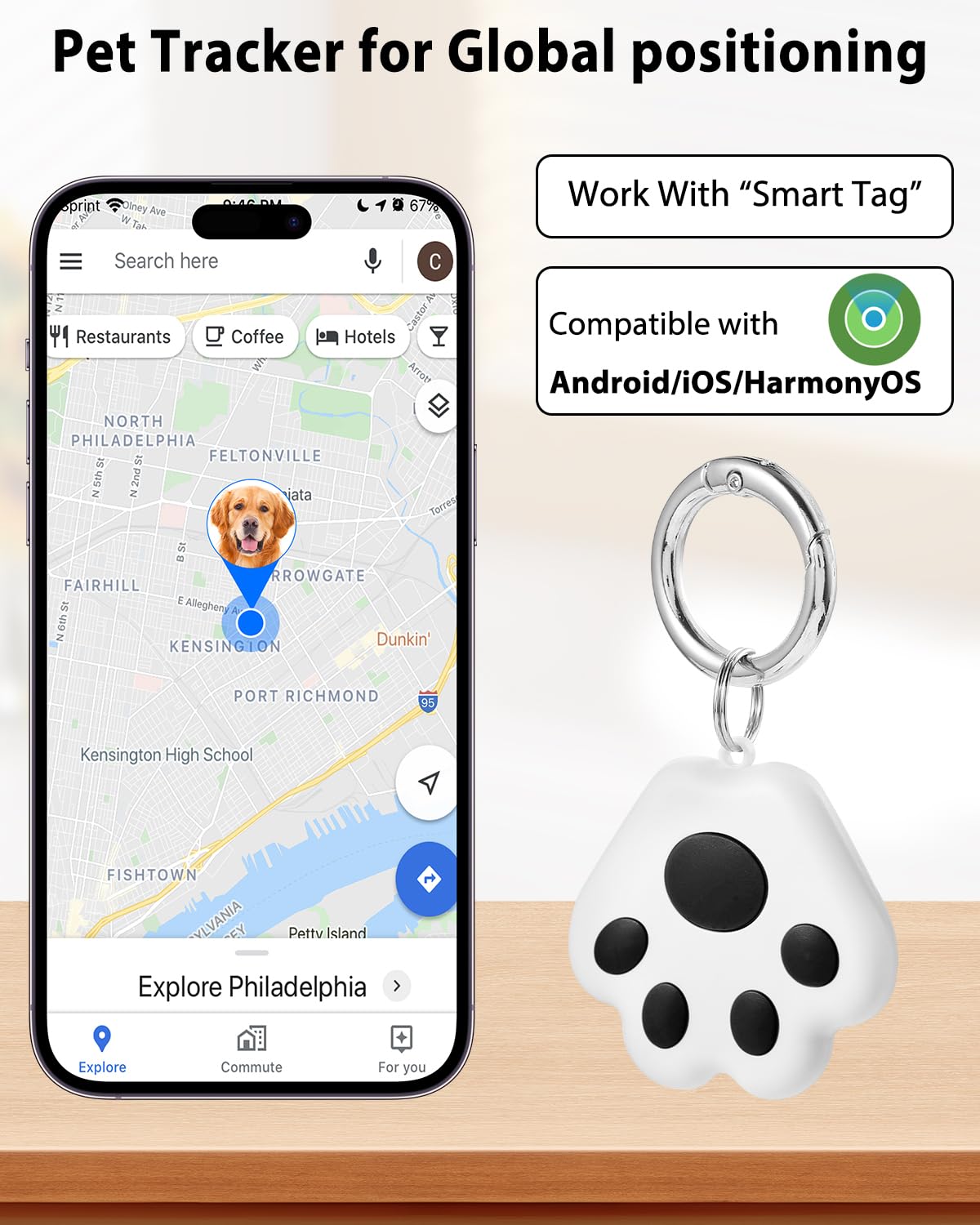 VVyL app muestra historial de rutas de siete días para mascotas