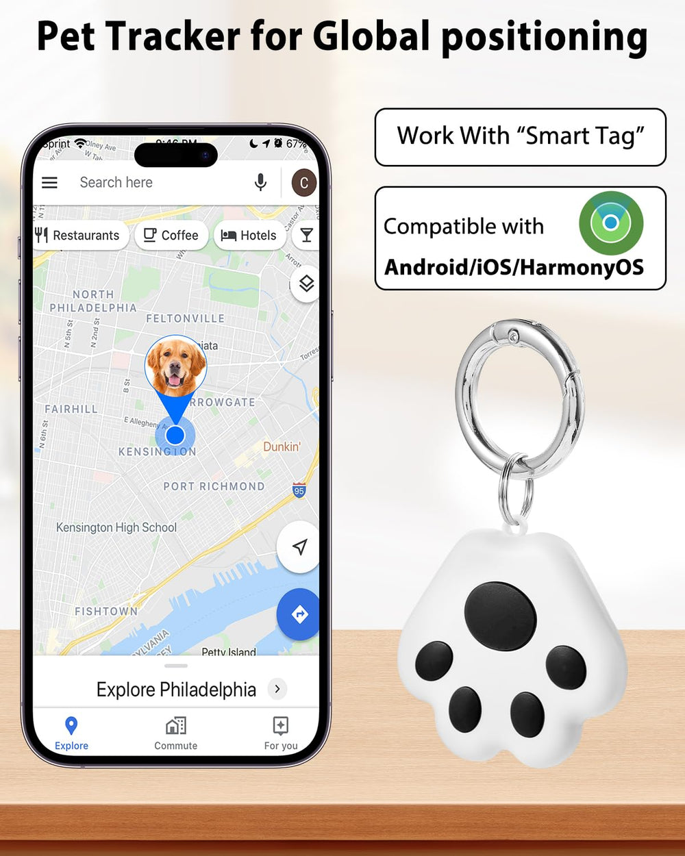 VVyL app muestra historial de rutas de siete días para mascotas