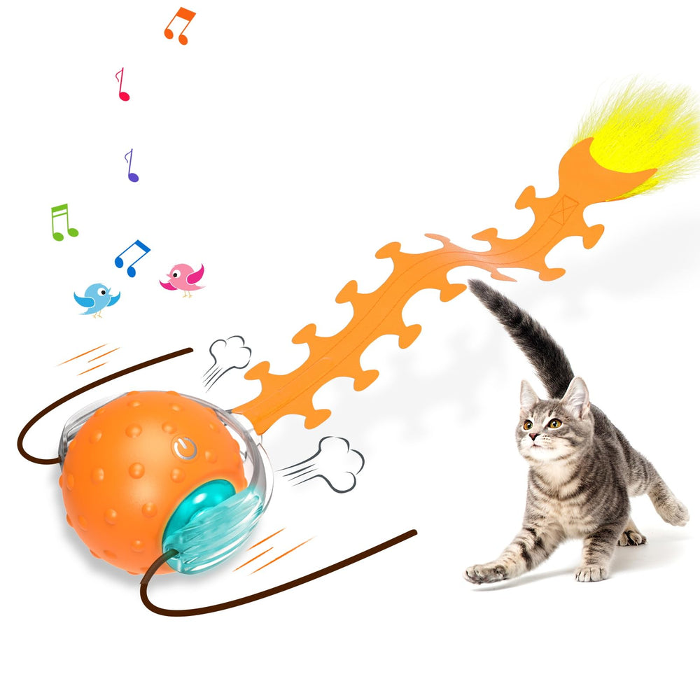Waaiio bola rodante interactiva para gatos activos en casa.