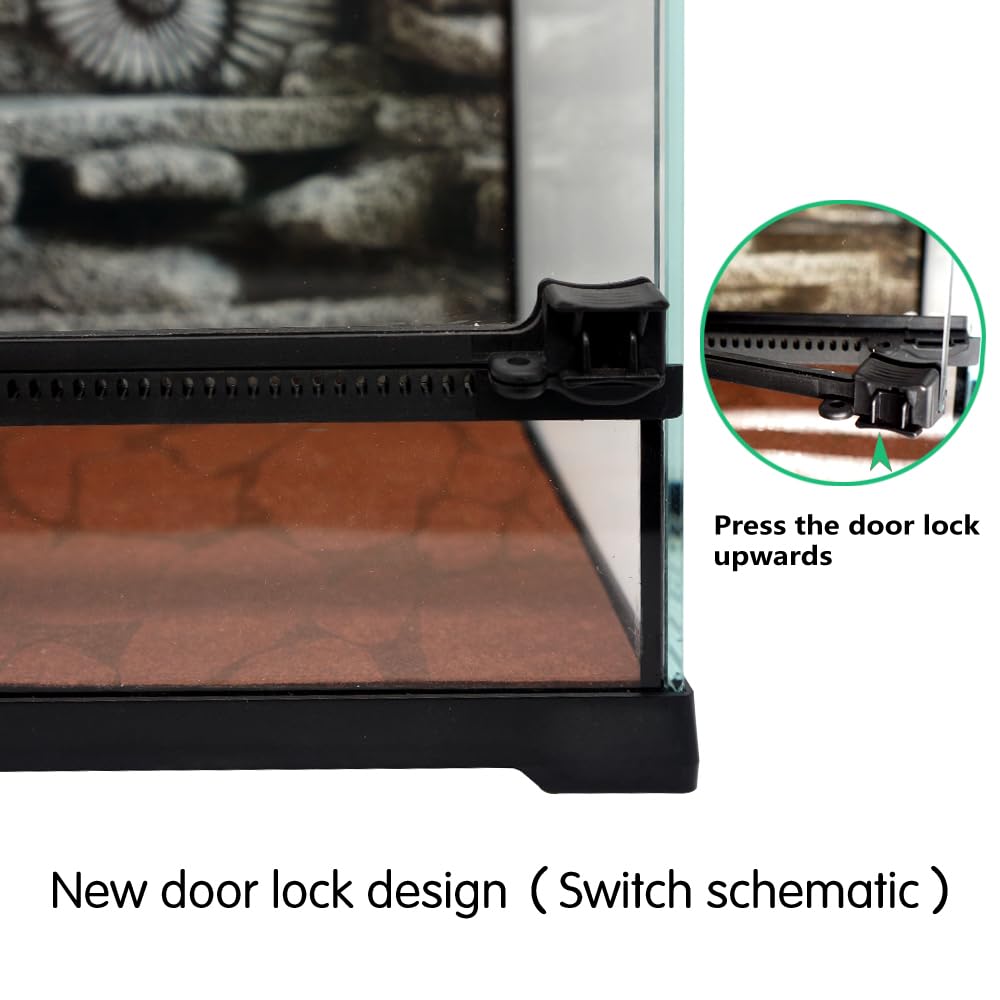 Waazoorep Mini Terrario: vidrio ultra blanco para visibilidad clara