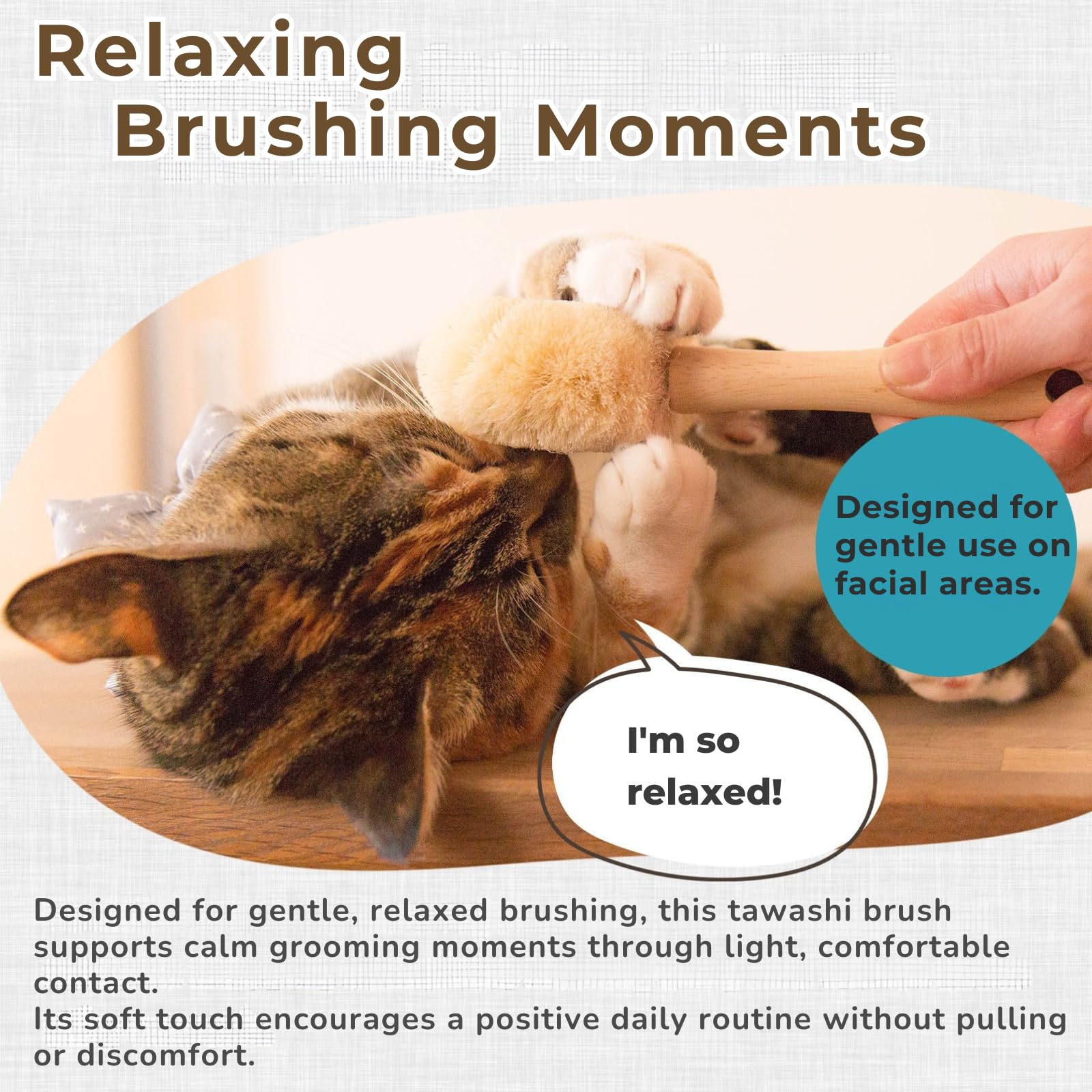 Wablade uso diario para cepillado corto en el cuerpo del gato.