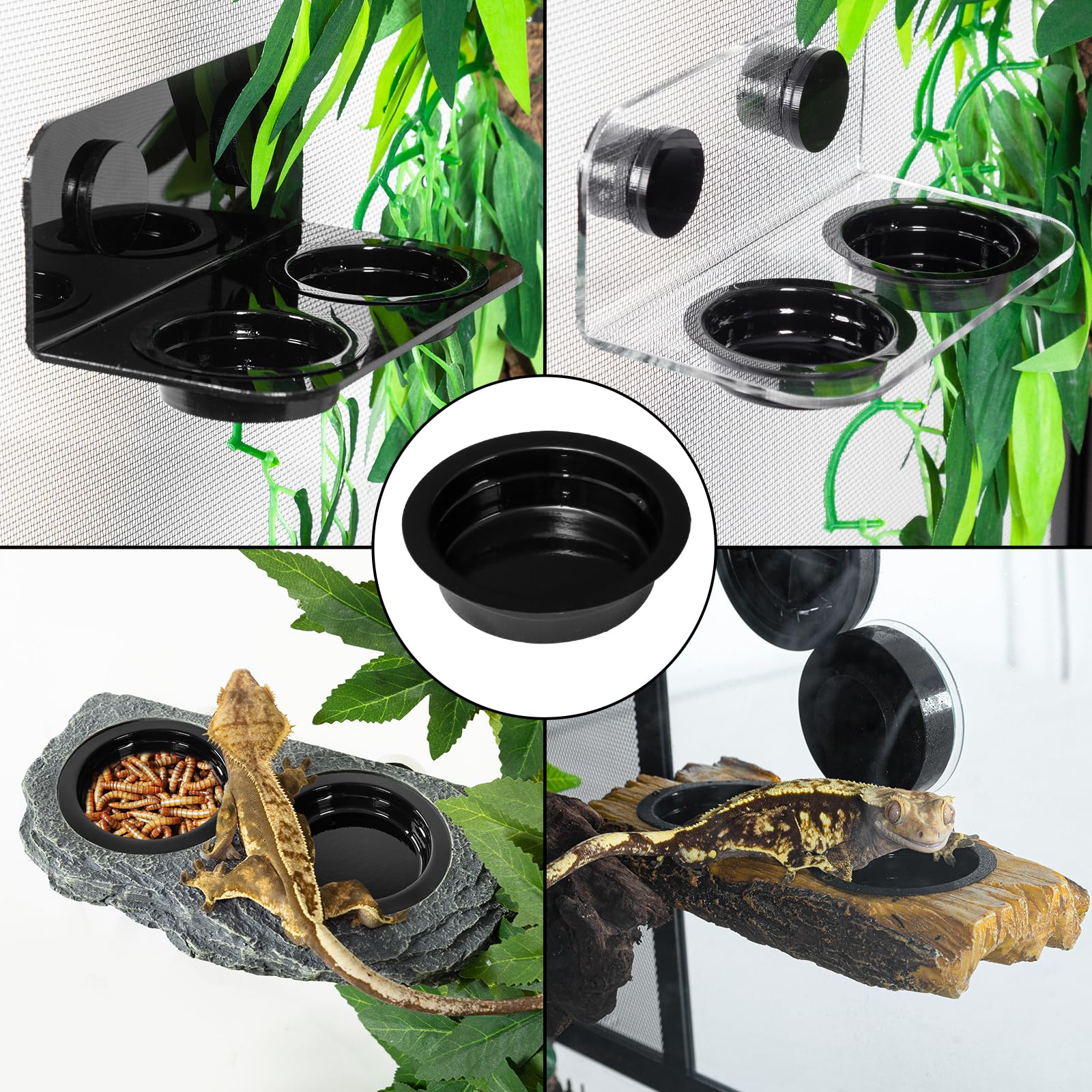 Aplicación para reptiles pequeños, adecuado para lagartos y camaleones