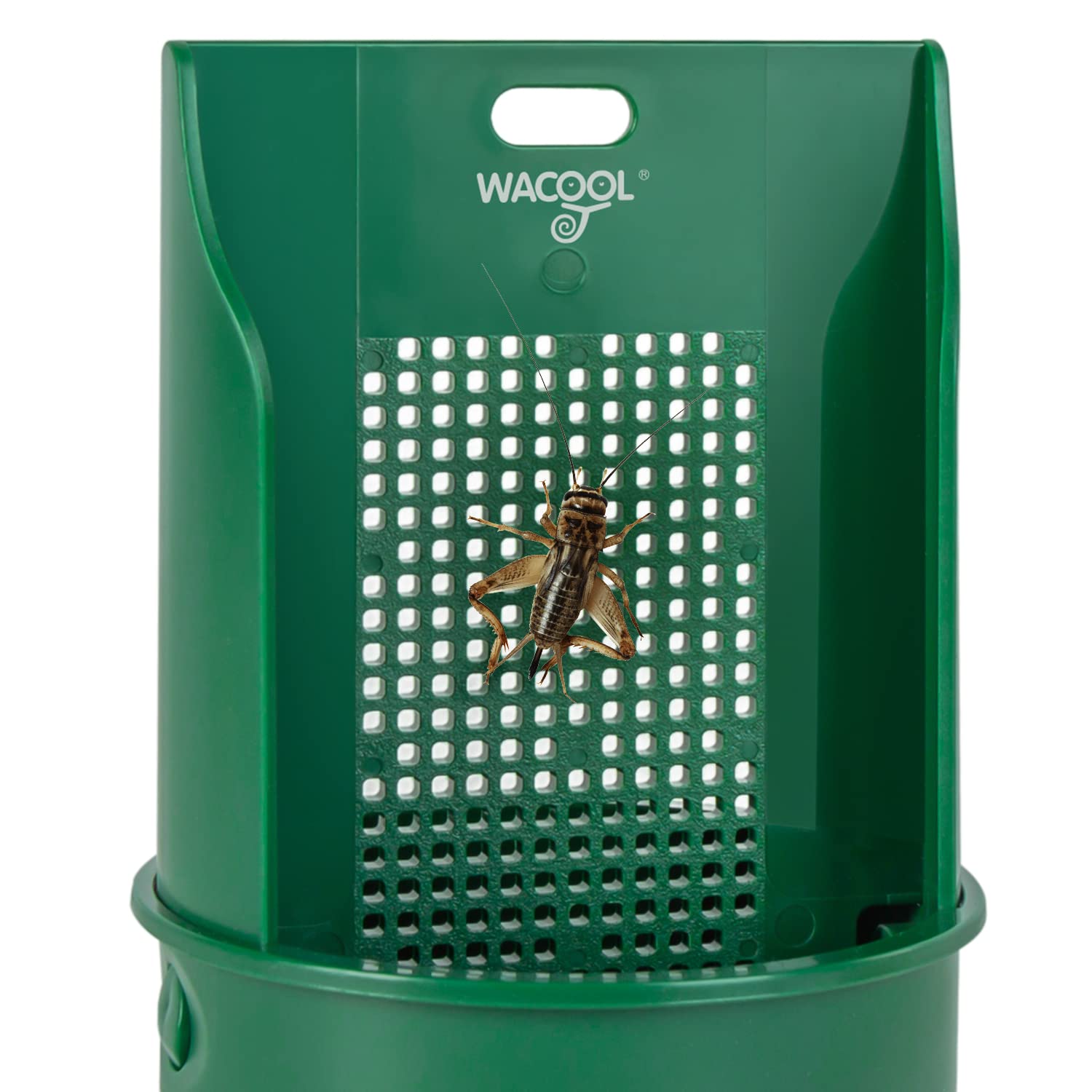 WACOOL montaje flexible para terrarios, instalación rápida y estable