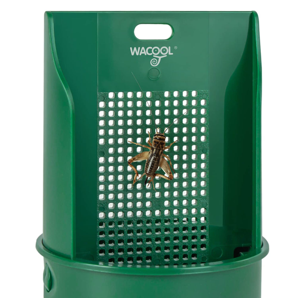 WACOOL montaje flexible para terrarios, instalación rápida y estable
