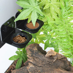 Tazas de alimentación WACOOL, 6 unidades lavables para reptiles