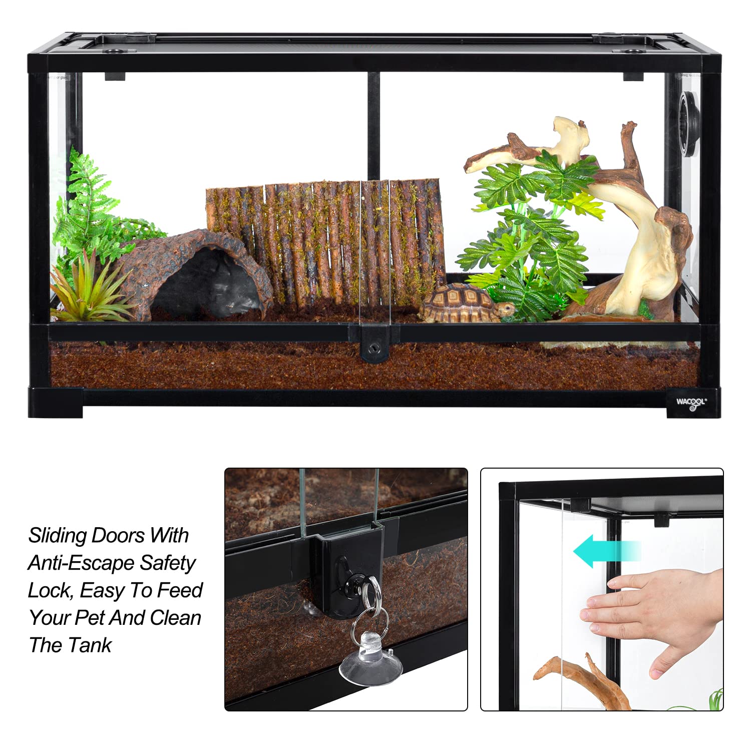 Base elevada de WACOOL TERRA para sustrato profundo y características de agua