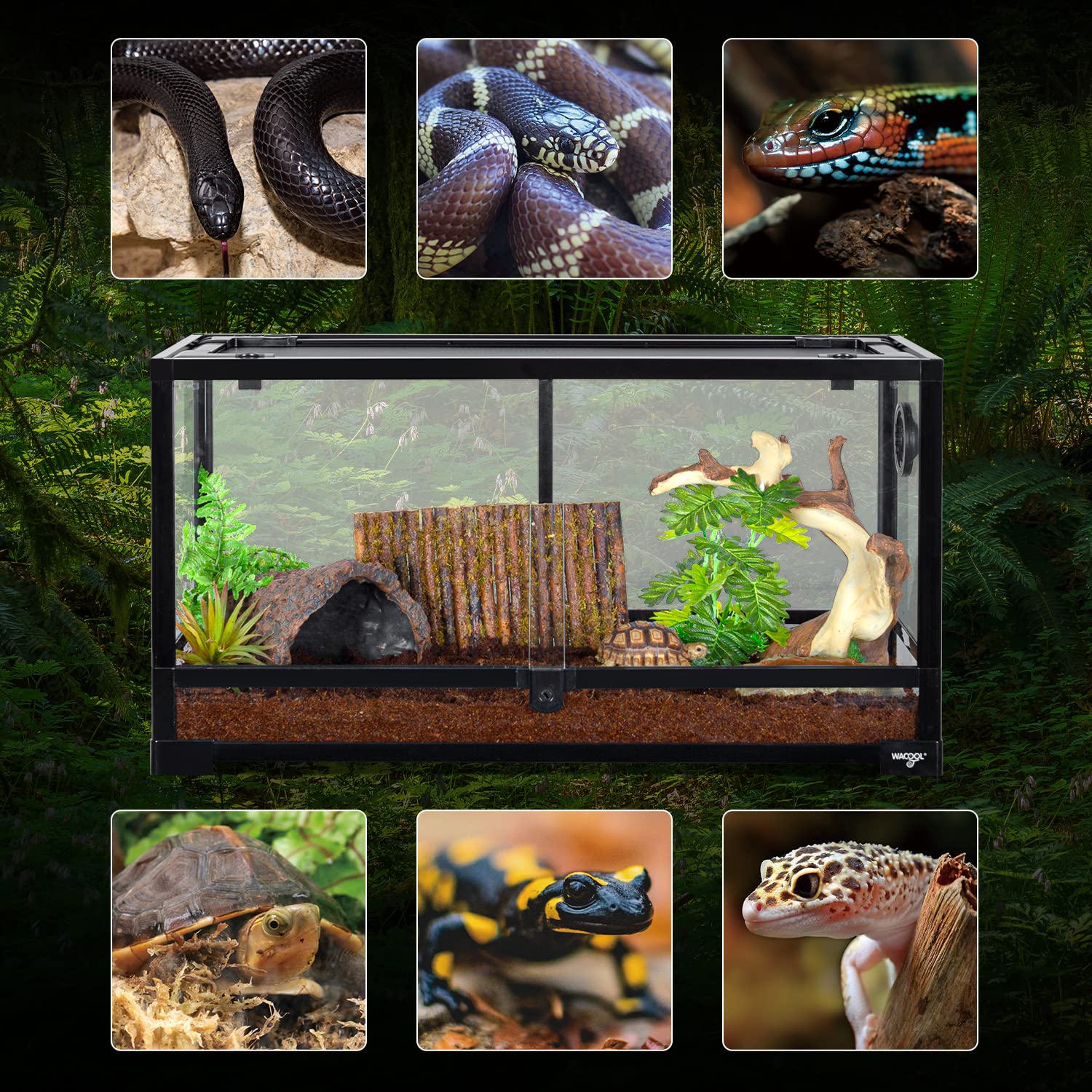 Dimensiones de 30x12x16 pulgadas de WACOOL TERRA, adecuado para reptiles y crustáceos