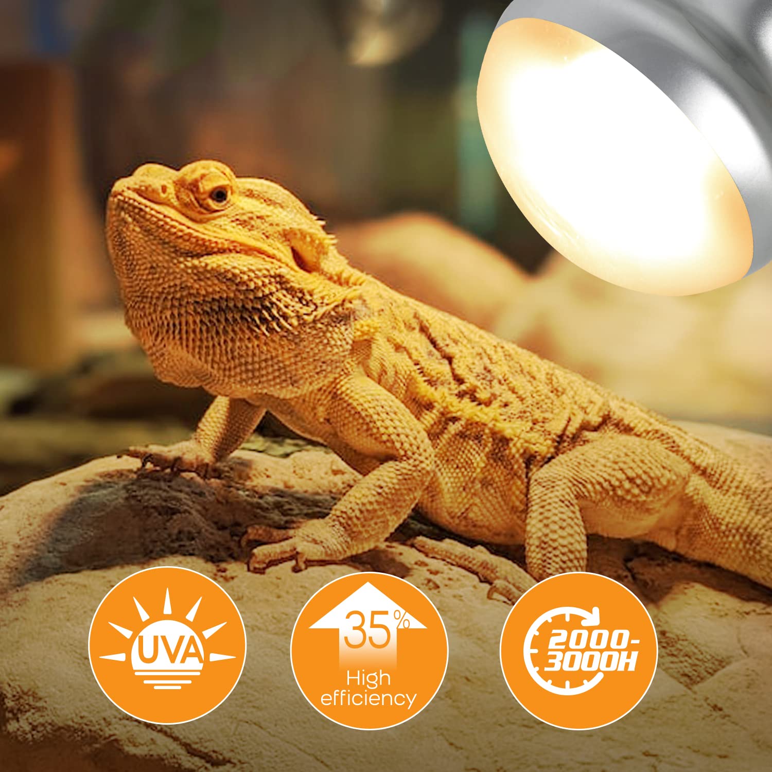Haz termico-zona-sol-reptiles de WACOOL TERRA para calor focal