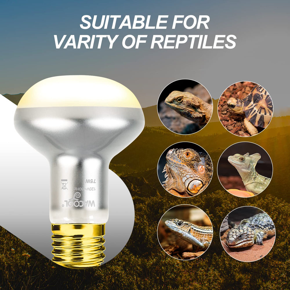 Simulación de luz solar UVA WACOOL TERRA para apetito