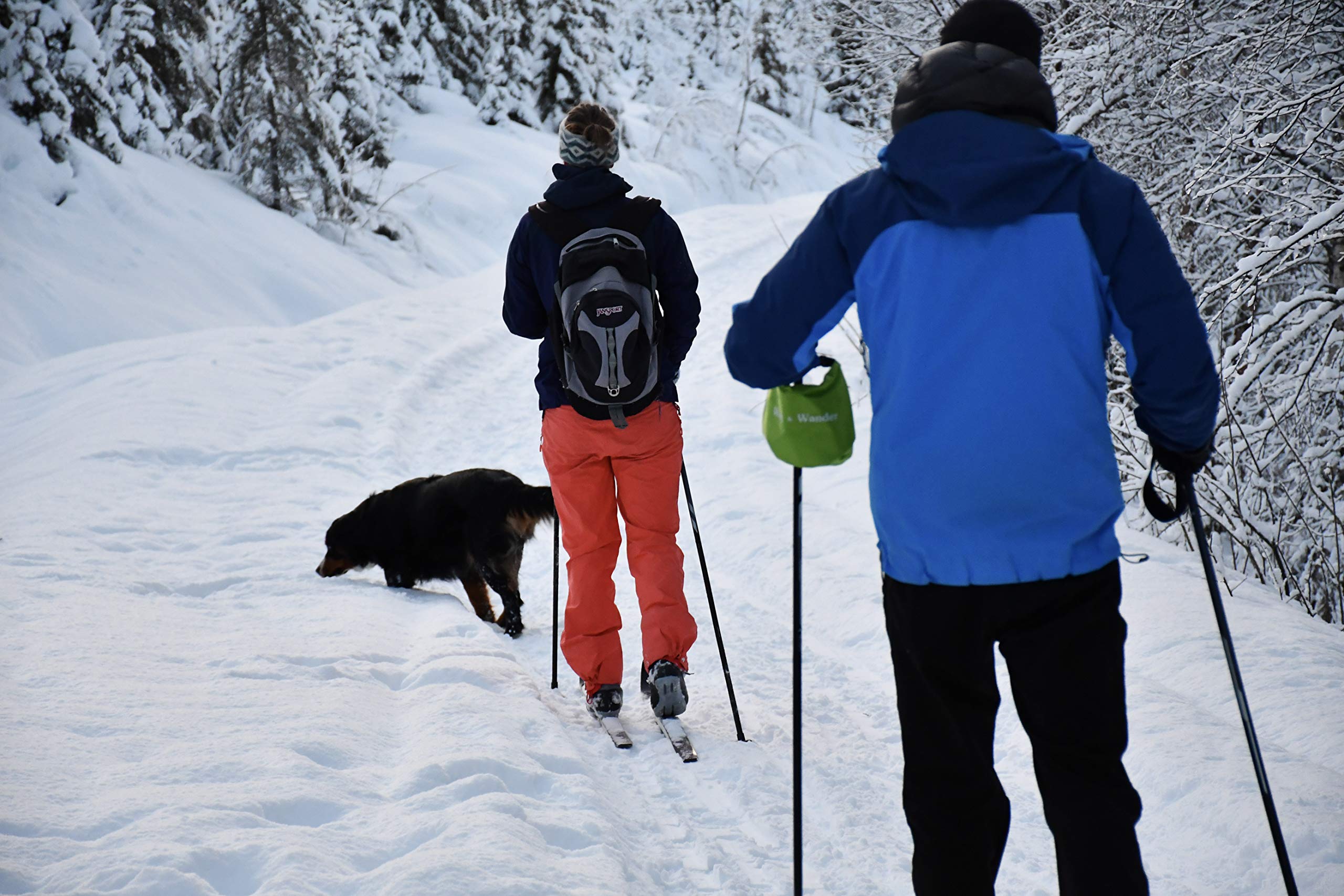 Ideal para camping y paseos con perros con Wag & Wander.