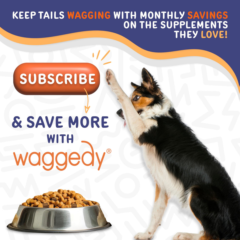 waggedy Calm Max: Apto para perros de cualquier tamaño y raza