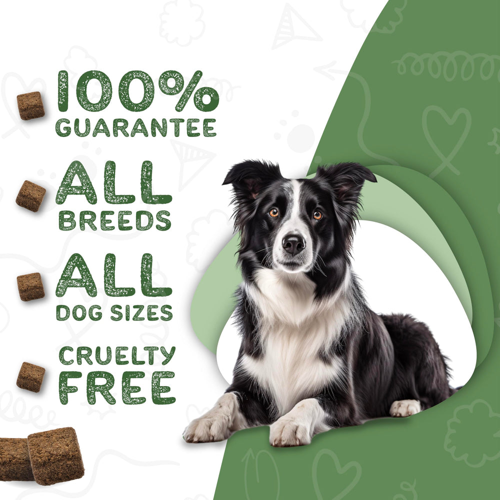 waggedy Calm Max: Ingredientes naturales que apoyan la calma durante visitas al veterinario