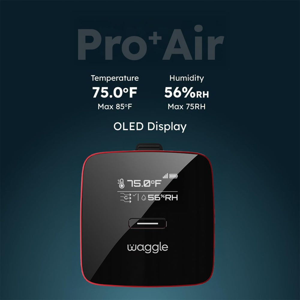 Waggle funciona sin wifi gracias a la conectividad 4G.