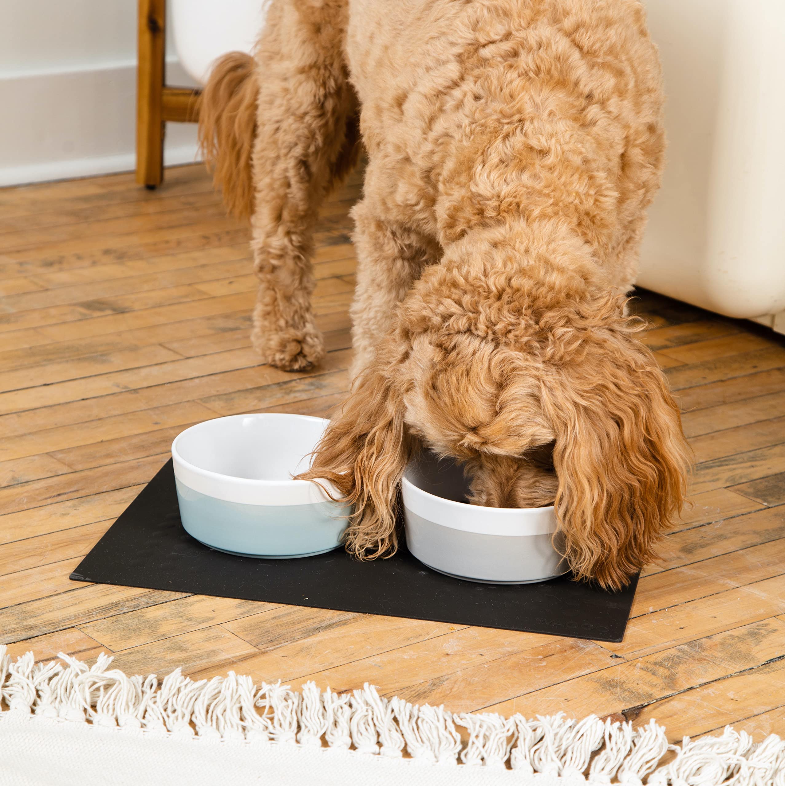 Waggo Dipper: base de color vibrante visible, añade estilo al comedor de mascotas.
