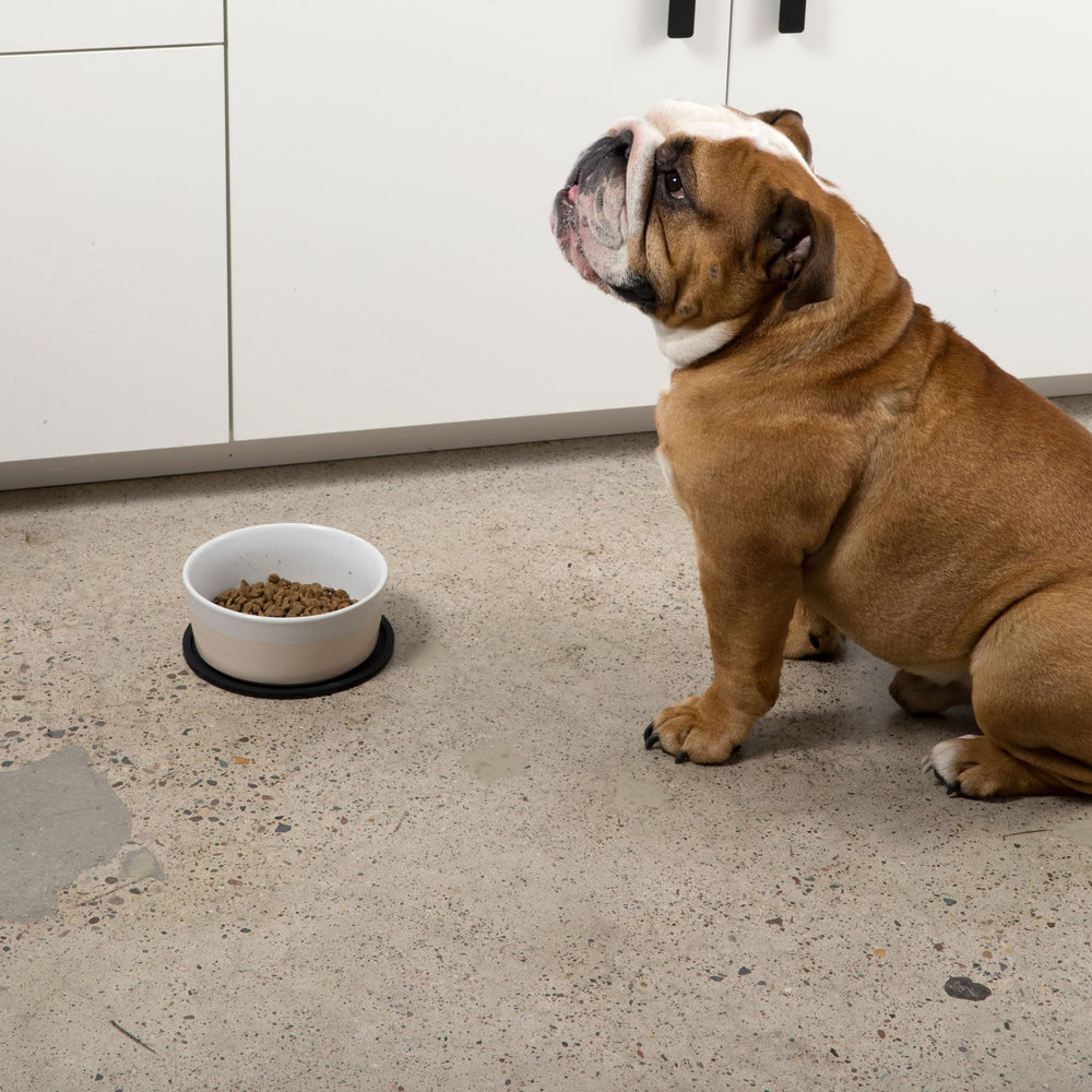 Waggo Habit alfombrilla de silicona para hogar, limpieza rápida y simple
