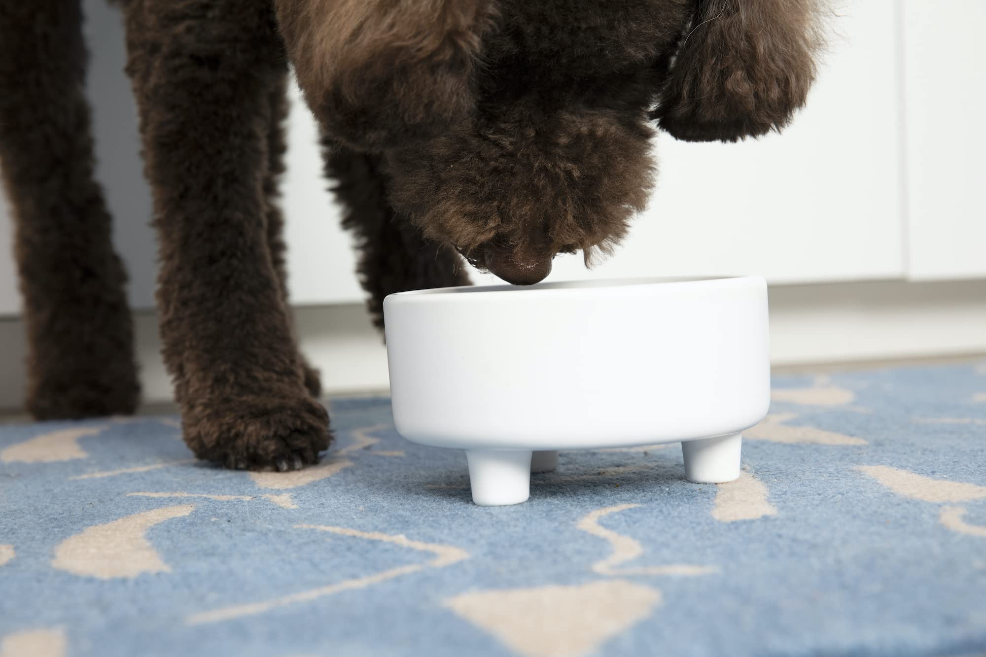 Tazón elevado Waggo Uplift para alimento, postura cómoda al comer