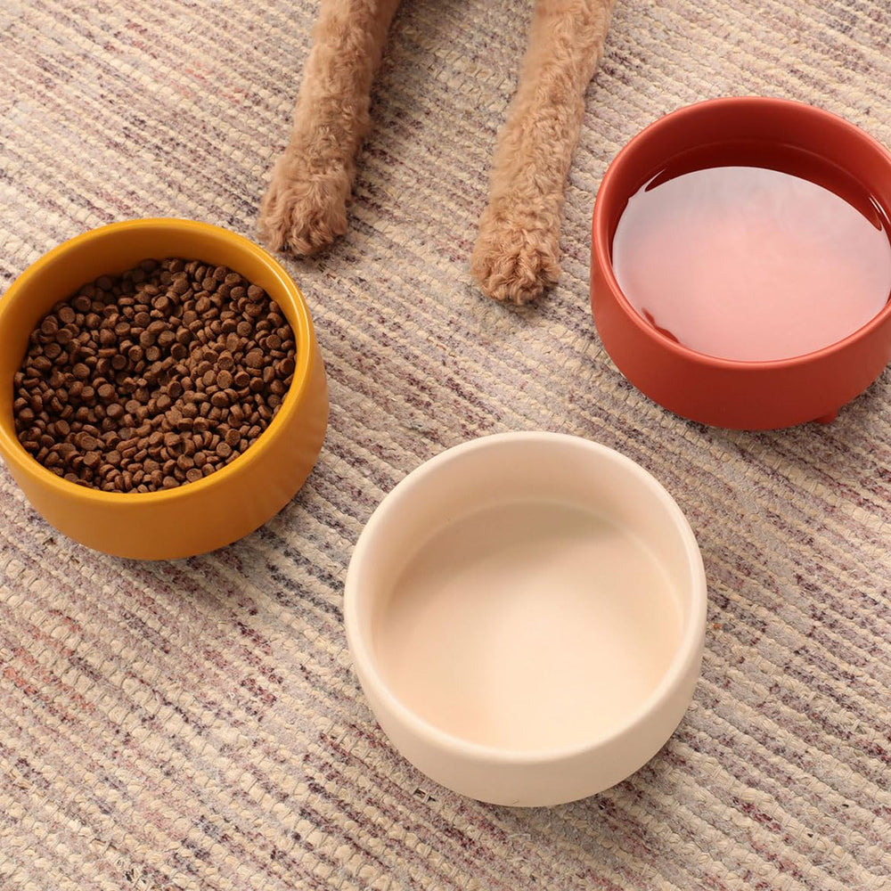 Waggo Uplift cuenco cerámico para perro grande, gran capacidad para alimento.