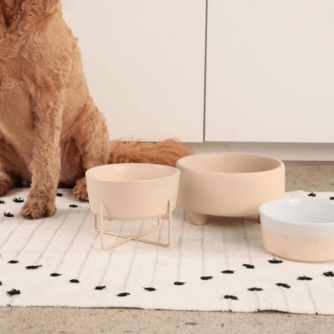 Waggo Uplift cuenco cerámico para perro mediano, diseño estable para evitar vuelcos.