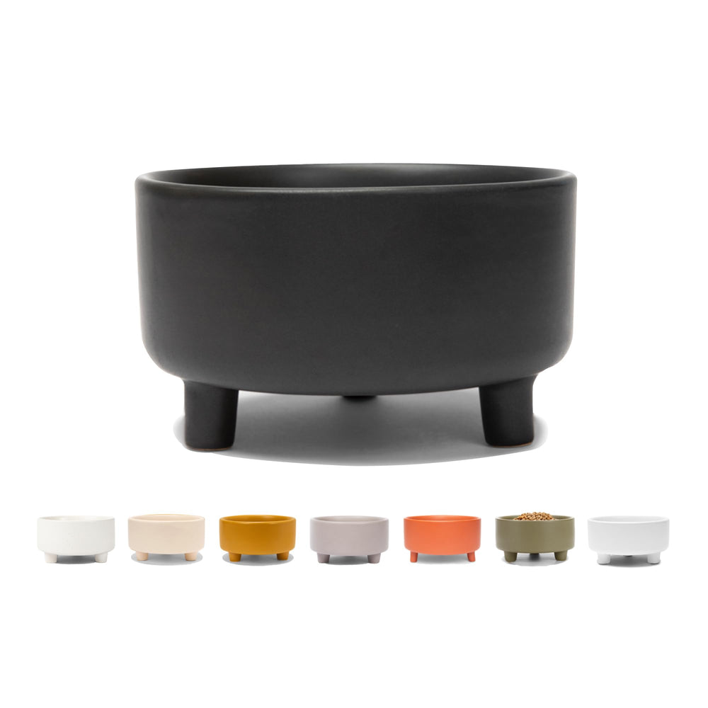 Tazón Waggo Uplift para perro pequeño, 2 tazas, ideal para porciones diarias