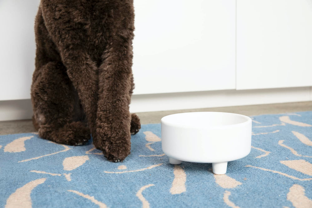 Waggo Uplift tazón cerámico para perros grandes, estable y resistente.