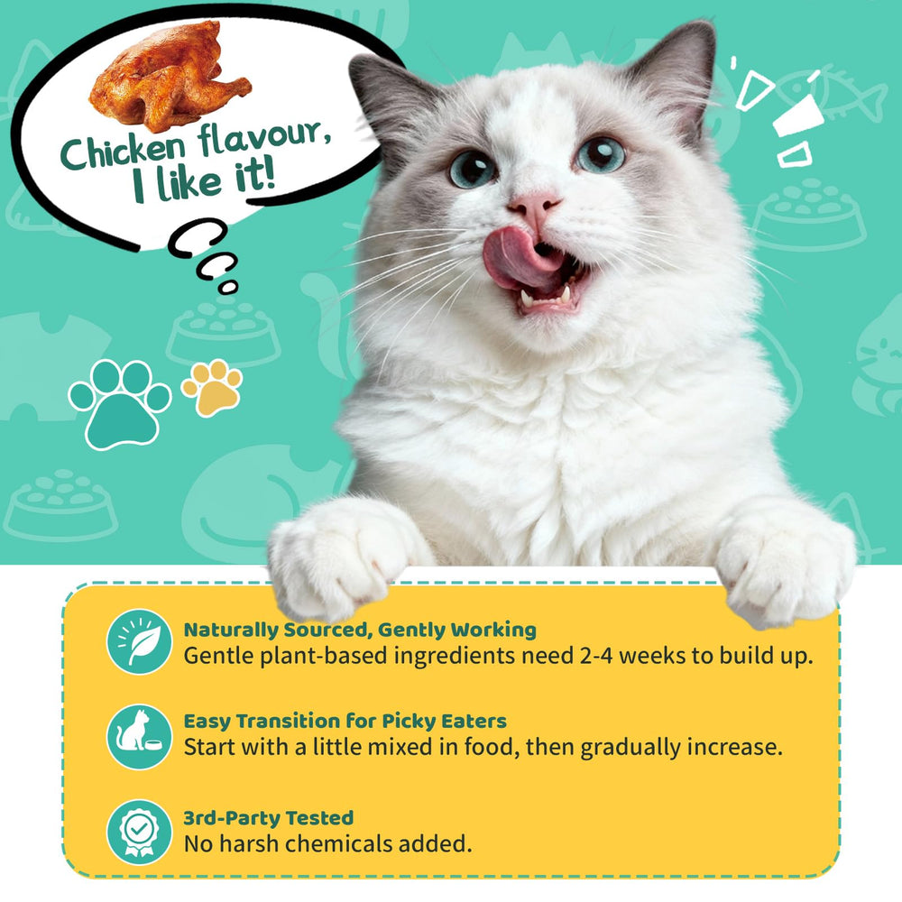 Wagmee mejora la salud de piel y pelaje de gatos.