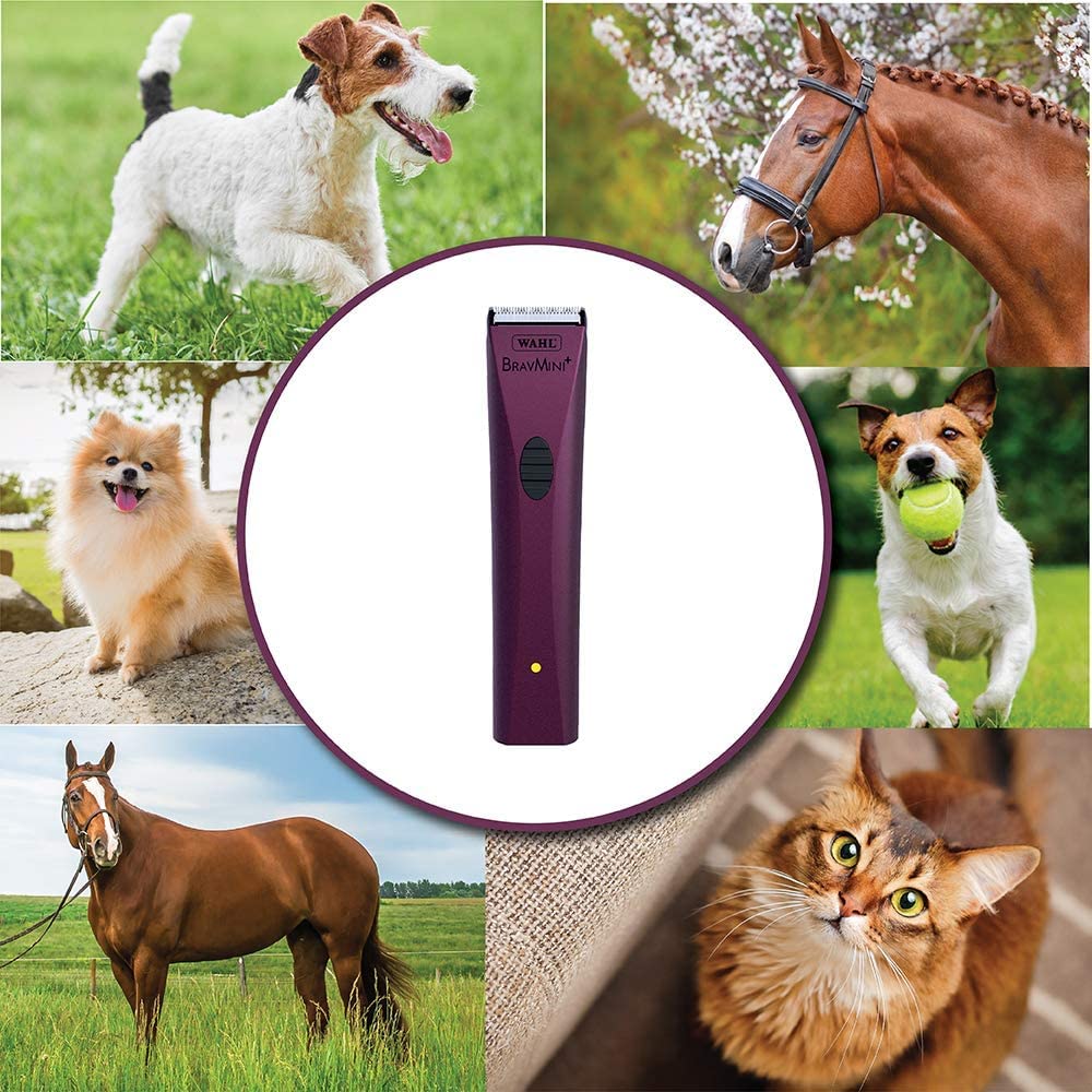 Wahl Bravmini+ diseño ligero y silencioso, ideal para mascotas sensibles.
