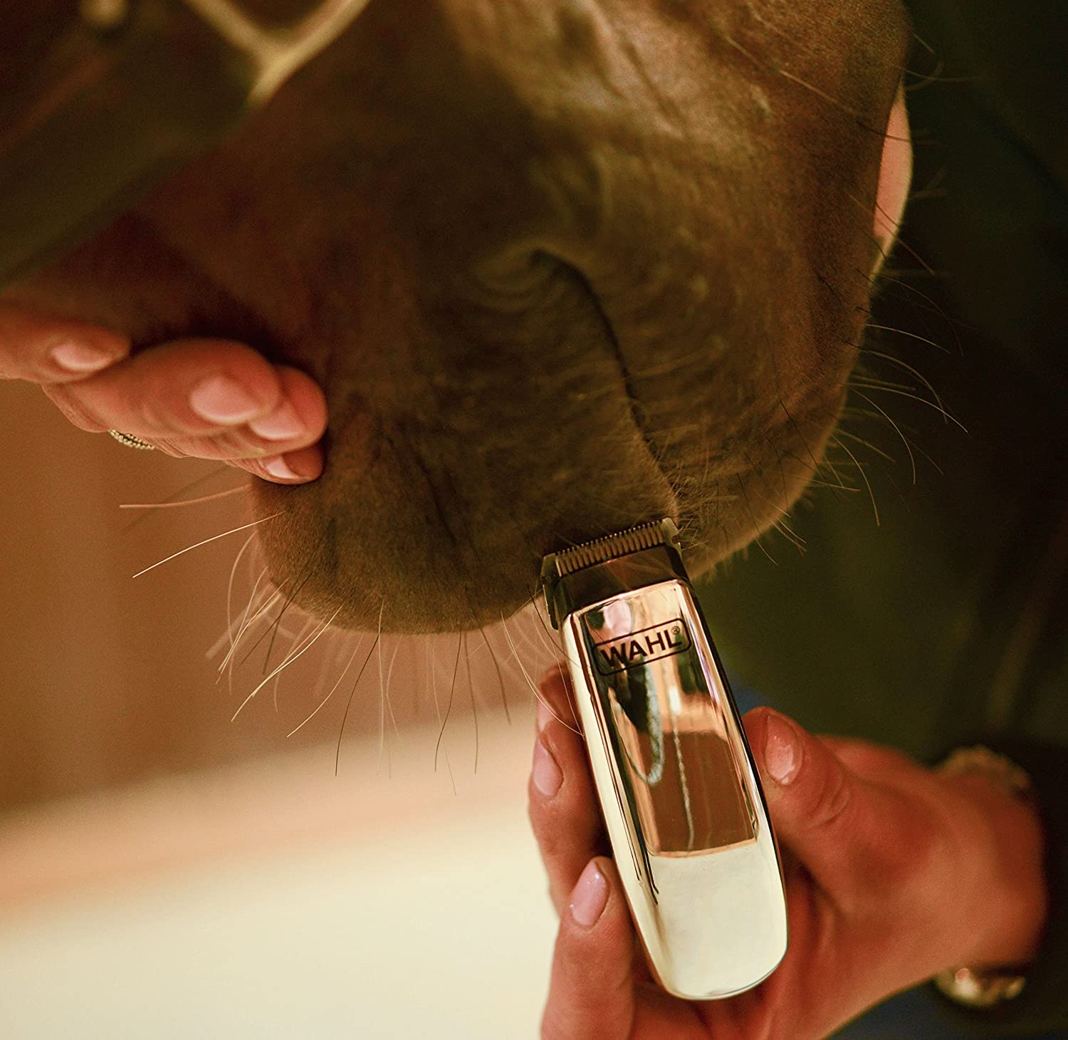 Wahl Equine Super Pocket Pro usa batería AA para uso móvil.