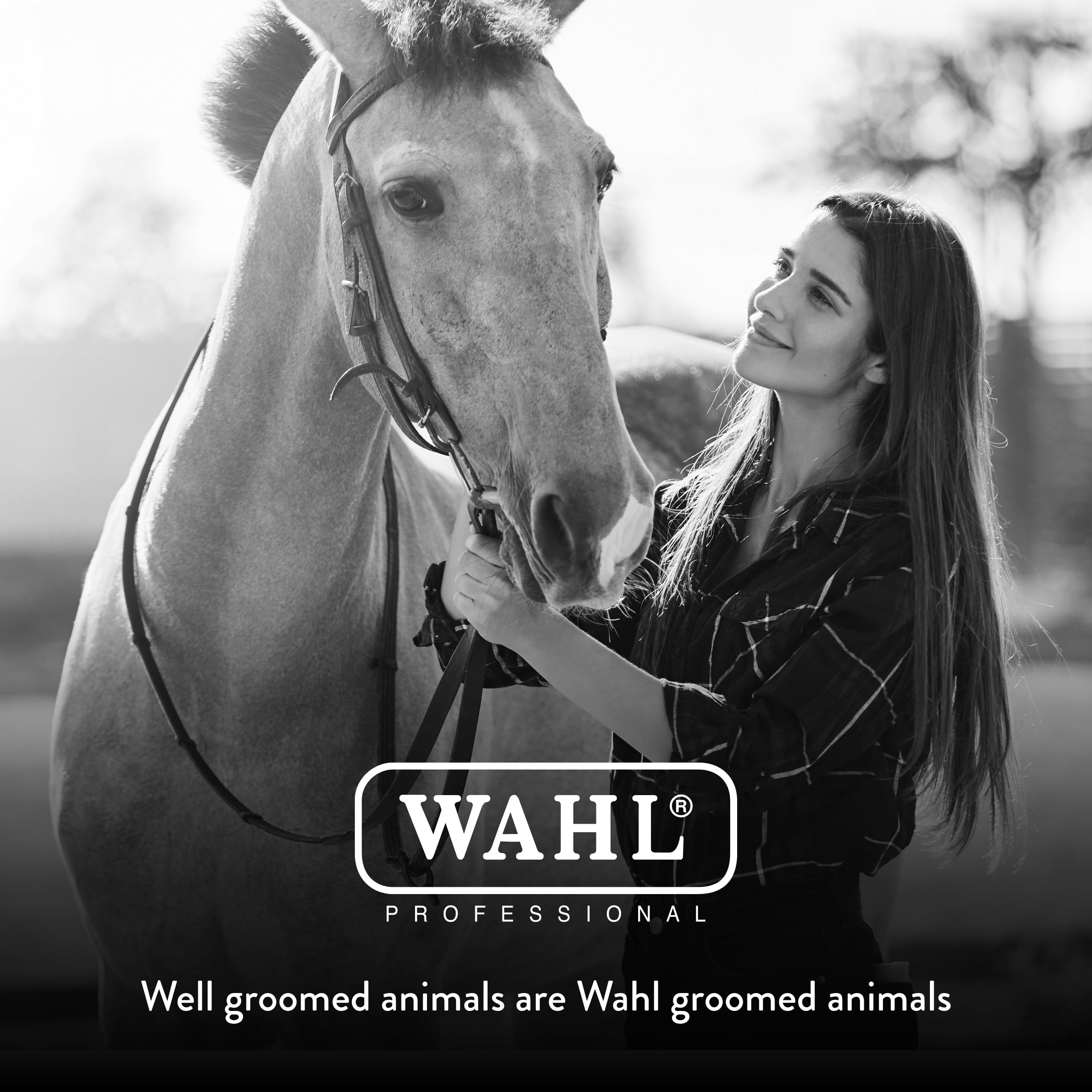 WAHL garantía de satisfacción de 30 días para cepillo de caballo negro