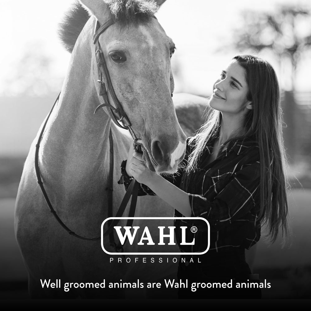 WAHL garantía de satisfacción de 30 días para cepillo de caballo negro