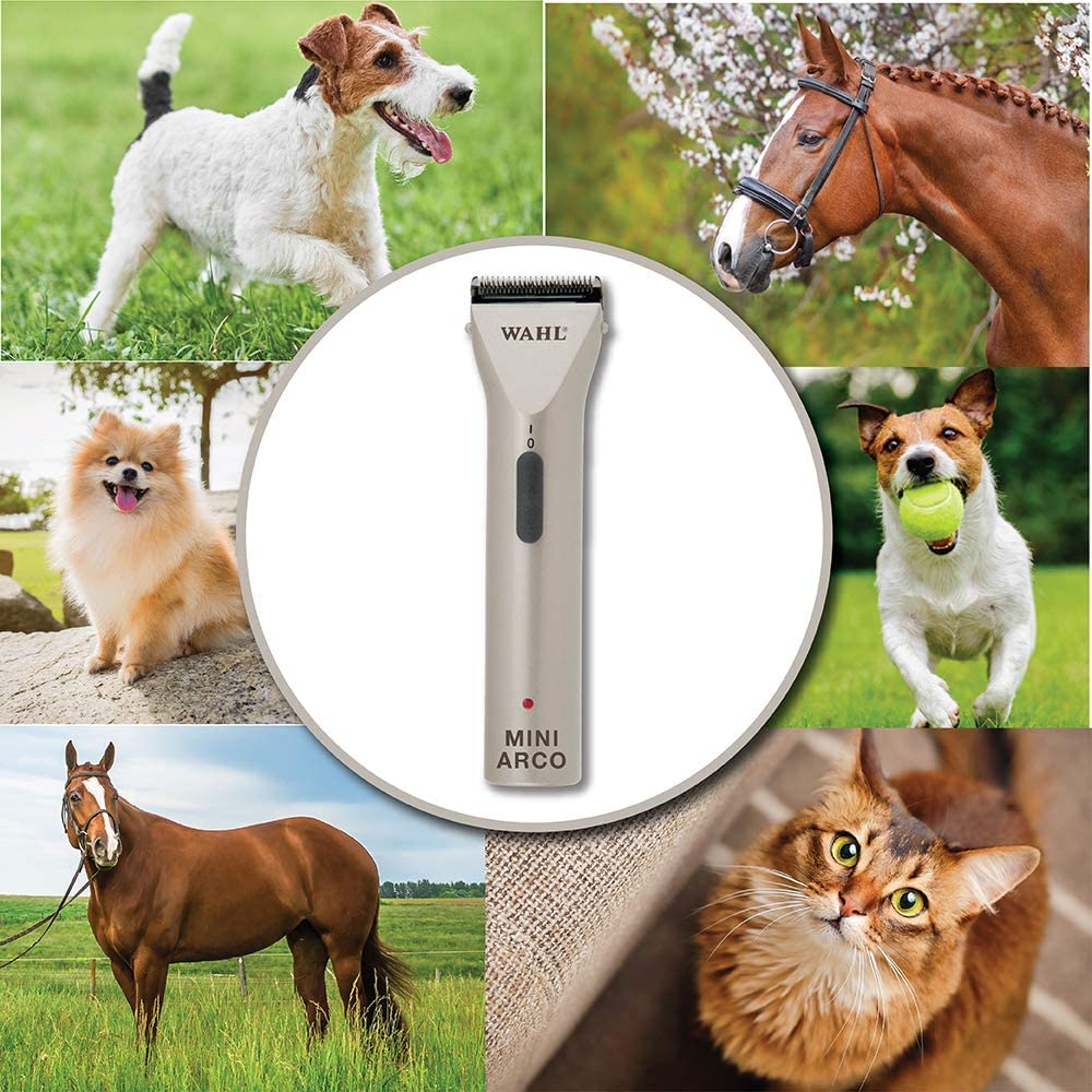 Wahl MiniArco; conjunto completo; cuidado de mascotas en casa.