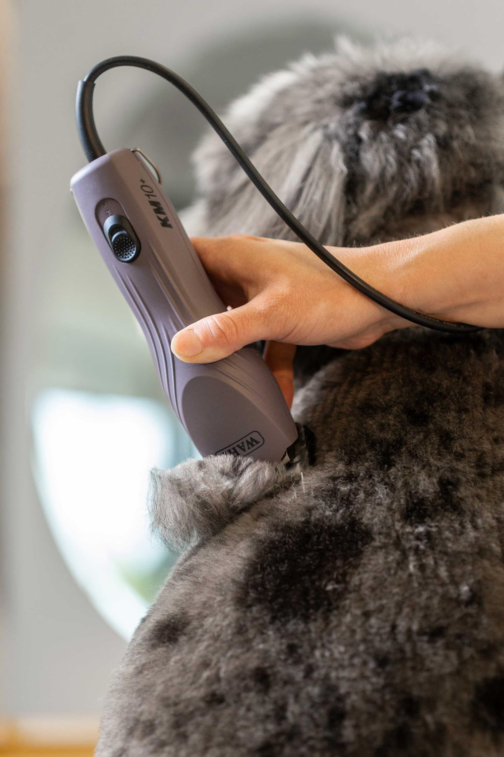 Wahl Pro Animal KM10+ morado, diseño profesional listo para uso