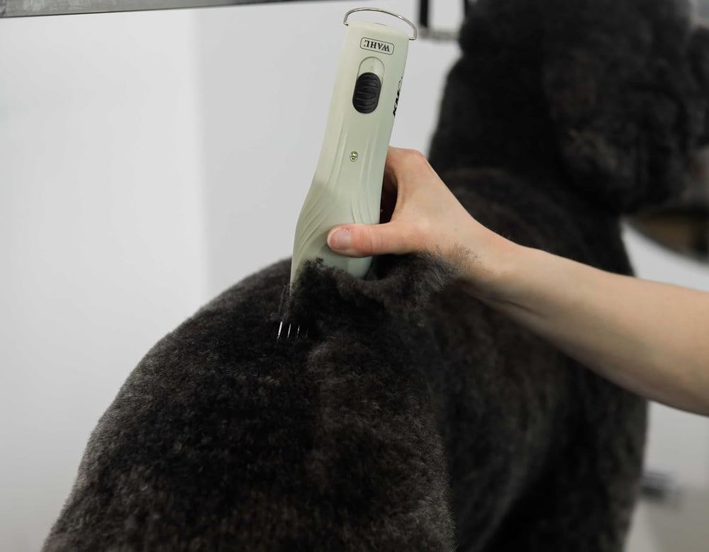 Wahl Professional Animal KMC+ kit de accesorios para cuidado profesional.