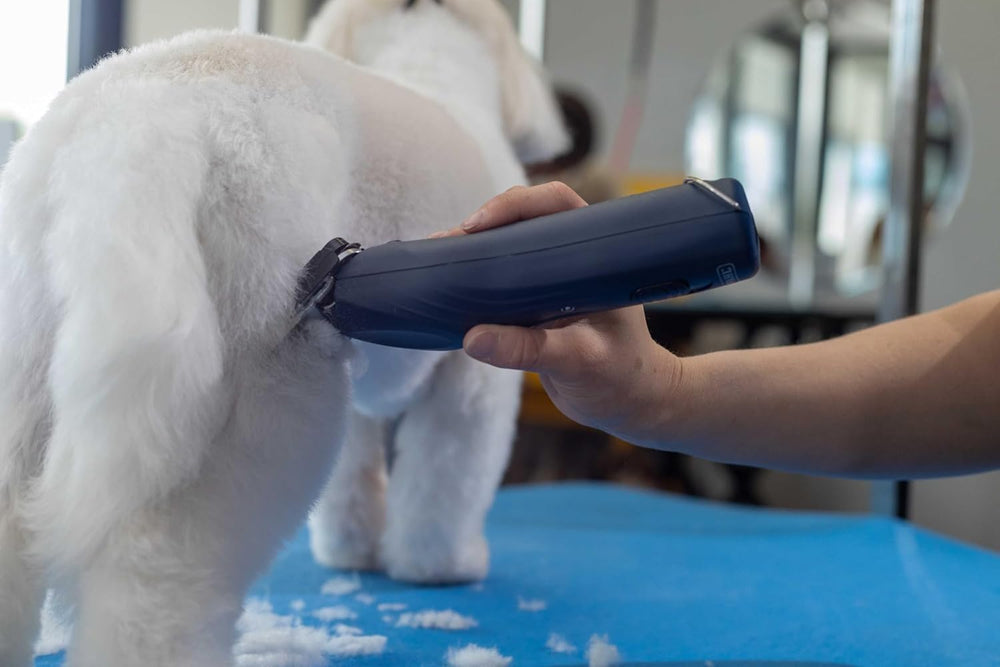 Wahl Professional Animal KMC+ kit profesional para mascotas.