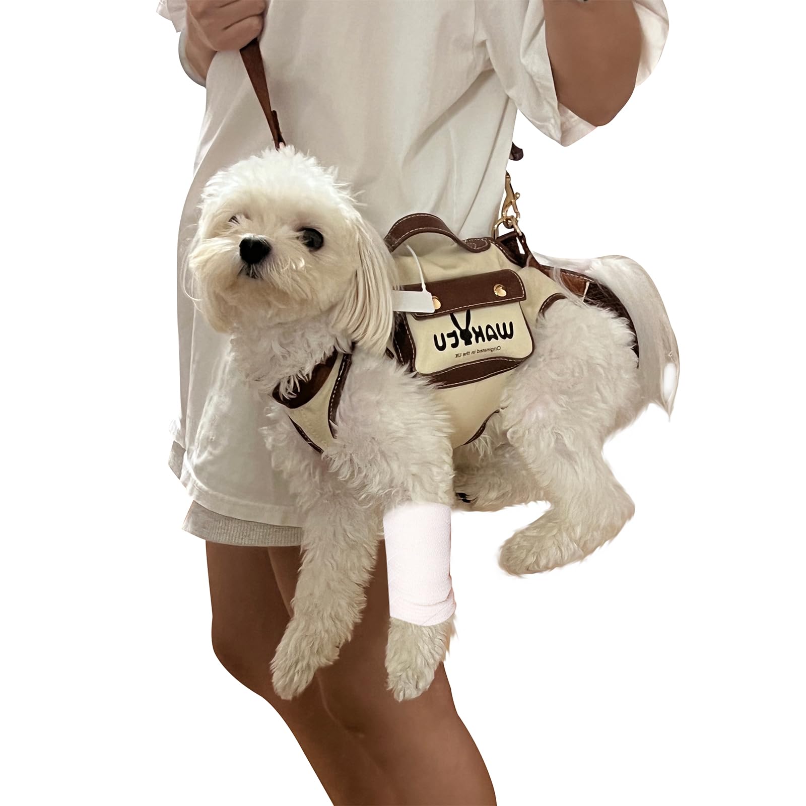 Wakytu arnés perro elevación muestra diseño ergonómico para paseos cómodos.