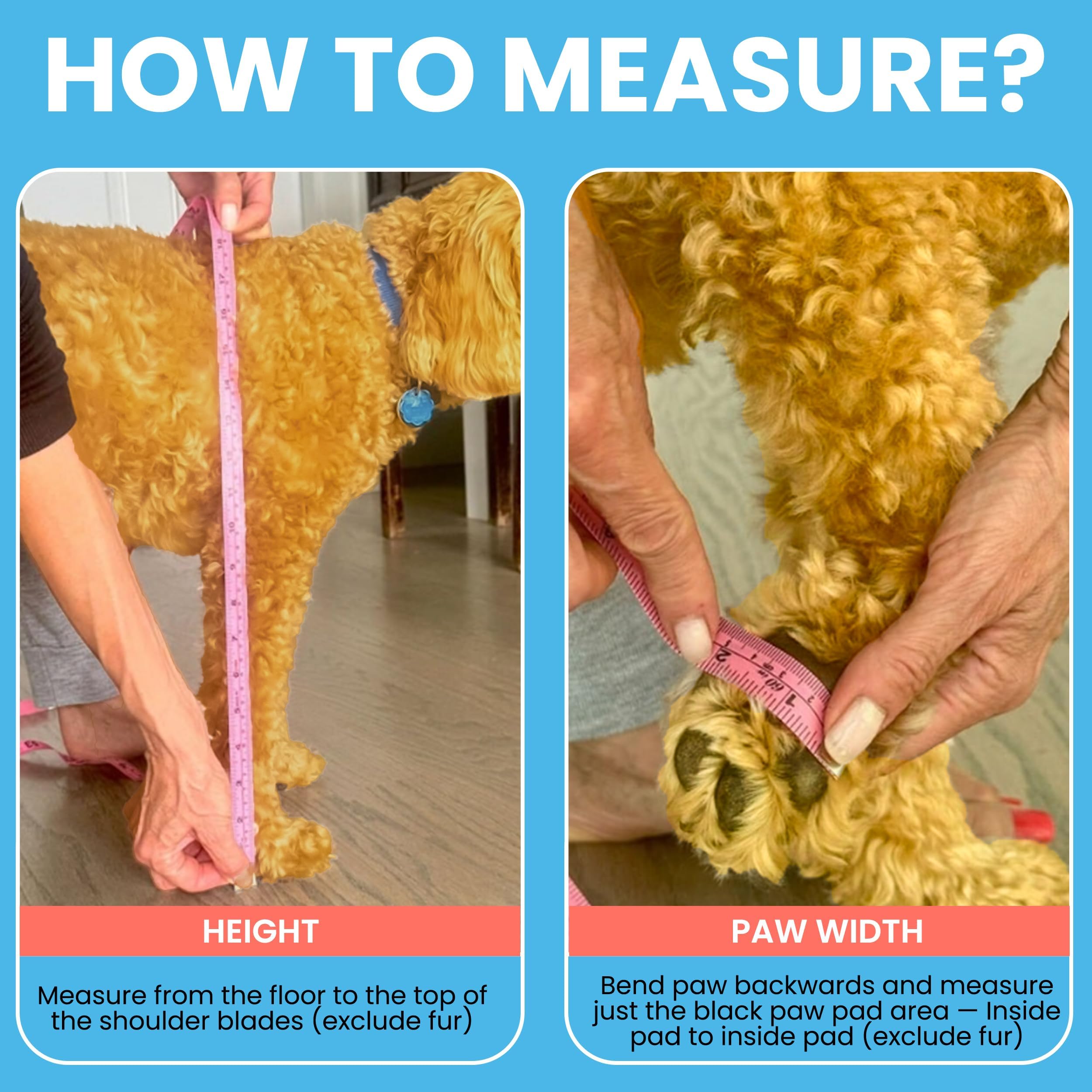 Fáciles de lavar a máquina Walkee Paws se limpian tras salidas mojadas